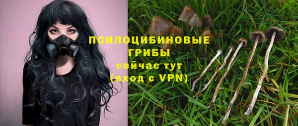 стафф Снежинск